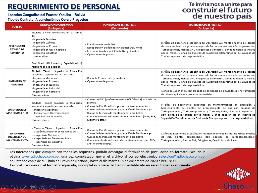 Curriculum vitae ypfb 07 picture